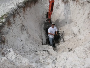 Gopher Tortoise Relocation