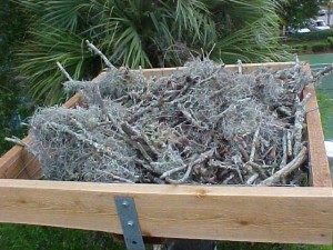 Osprey-Nest-Relocation