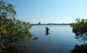 Seagrass Survey Depths